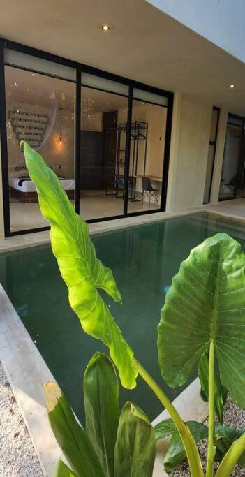 Apartment With Private Pool Tulum Chemuyil Esterno foto